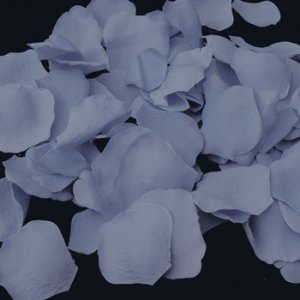 Rose Petals Light Blue