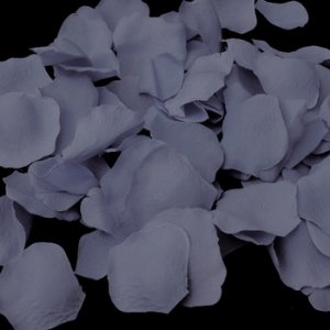 Rose Petals Dusty Blue