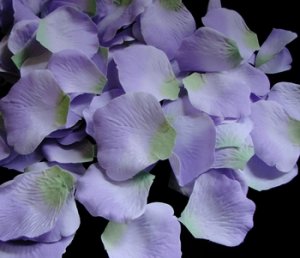 Lavender Two-Tone with Green Accent Rose Petals