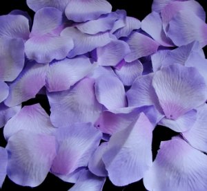 Three Tone Lavender Rose Petals