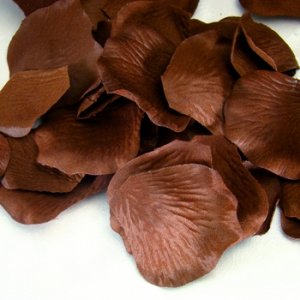 Brown Rose Petals