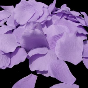 Lavender Rose Petals  #6
