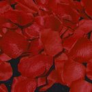 Red Rose Petals  #5