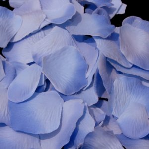 Two-tone Periwinkle Rose Petals #20
