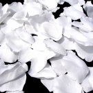 White Rose Petals  #9