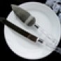 Wedding Cake Server Set with Crystal Acrylic Handle Accented with Silver CS 908