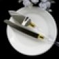 Acrylic Handle with Silver Accent CS 902