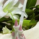 Majestic Pink Cinderella Castle Pen Set