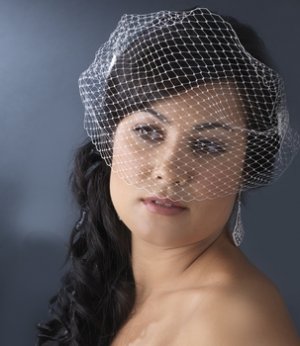 Bird Cage Veil with Side Combs HP 1893