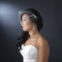 Bird Cage Veil with Side Combs HP 1893