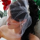 Dramatically Long Bird Cage Veil (15" long x 16" wide on Comb) V Cage 900