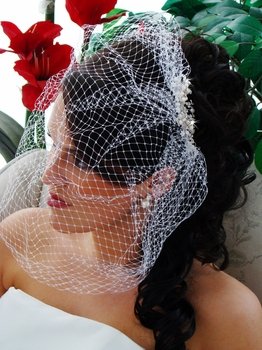 Dramatically Long Bird Cage Veil (15" long x 16" wide on Comb) V Cage 900