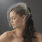 Dramatically Long Bird Cage Veil (15" long x 16" wide on Comb) V Cage 900