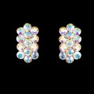 AB Clip On Earrings E 24678