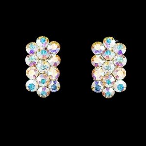 AB Clip On Earrings E 24678