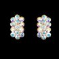 AB Clip On Earrings E 24678