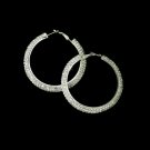 Earring 8286 Silver Clear