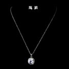 Silver Clear CZ Necklace Earring Set 11995