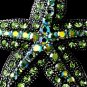 Antique Silver Green Aurora Borealis Crystal Starfish Brooch 88