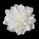 Pearl Centered Bridal Hair Flower Clip 402 ( Cream, Maroon, Red, Diamond White )