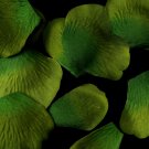 Two Tone Hunter Green Rose Petals (100 Count) #102