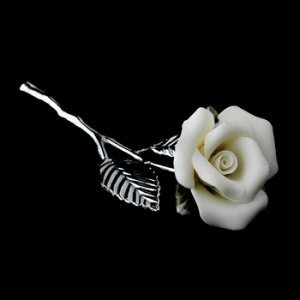 Porcelain White Rose