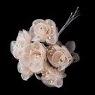 Champagne Flower Bunch BQ 7016