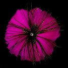 Fuchsia Feather Brooch 132