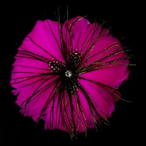 Fuchsia Feather Brooch 132