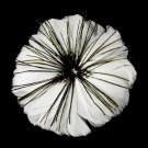White Feather Brooch 132