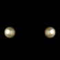 Ivory Necklace Earring Set 7245