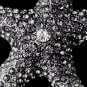 Silver Grey Starfish Brooch 160