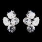 Silver CZ Earrings 5972