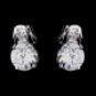 Silver Clear CZ Necklace & Earring Set 8603