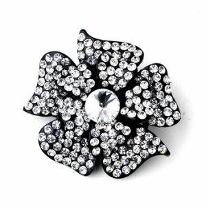 Black Clear Brooch 130