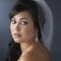 Single Tier Fine Birdcage Face Veil Scattered with Pearls V 501