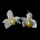 Pin 907 White (**Sold as a set)