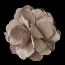 Chocolate Brown Flower Hair Clip 9941