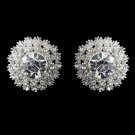 Silver Clear Rhinestone Stud Earrings 26605