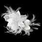 Feather Fascinator with Sequins & Bugle Beads Comb/Clip 7794