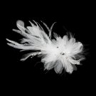 Stunning White or Ivory Feather & Clear Rhinestone Flower Hair Clip 4632