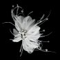 Couture White Feather Spray Bridal Hair Comb w/ Rhinestones 8401