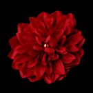 Elegant Bridal Flower Hair Clip or Clip Brooch - Red Dahlia 402