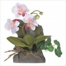 Everlasting Orchid Wall Decor  #39681
