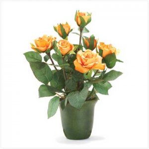 Orange Roses  #36231