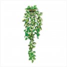 Everlasting Ivy Wall Decor  #39680
