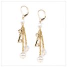 Charm Earrings  #13424