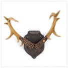 Buckhorn Wall Décor  #13371