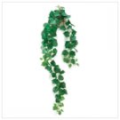 Everlasting English Ivy  #13091