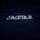 Childs  Jaguar, Ford, Chevy, Dodge Custom Embroidered t shirt